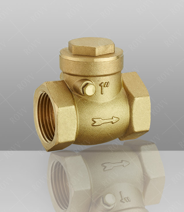 Copper check valve
