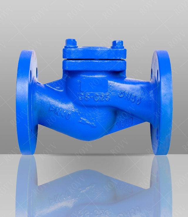 German standard lifting check valve