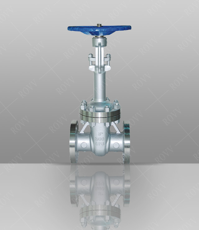 Stainless Steel Cryogenic Gate Valve